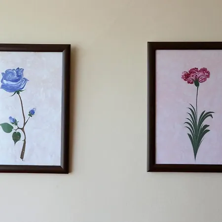 Apartament * Estambul